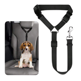 Pet Overhead Seat Belt Lead - Black